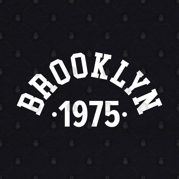 Brooklyn Chronicles: Celebrating Your Birth Year 1975 by Boogosh